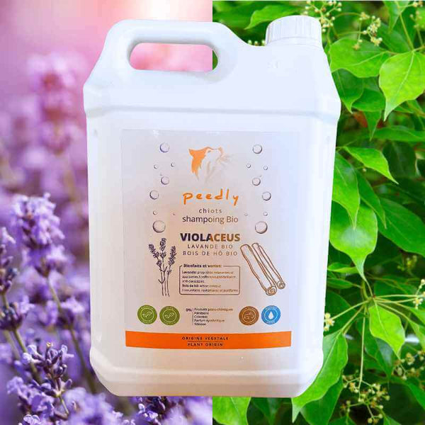 Shampoing Violaceus 5L Protecteur