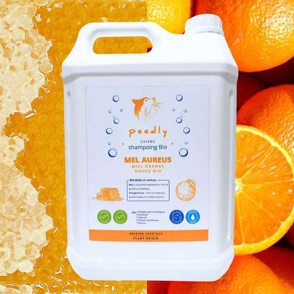 Shampoing Mel-Aureus 5L Hydratant