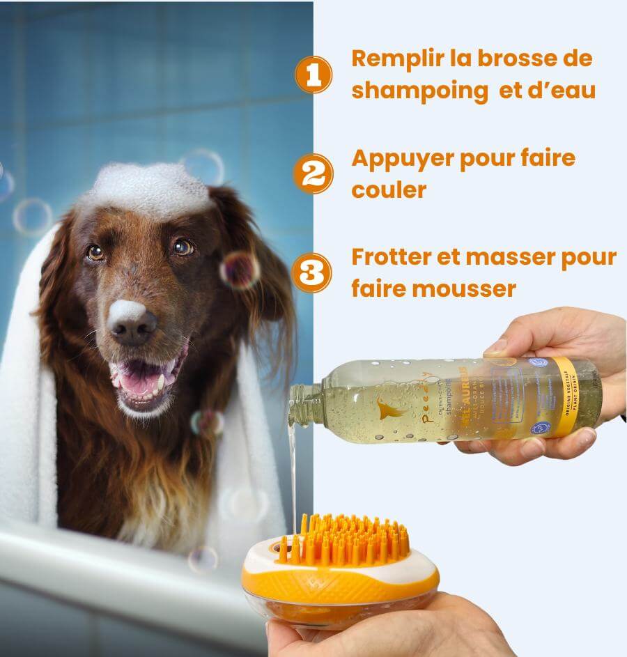 Box Bain Mel-Aureus - Hydratation Intense