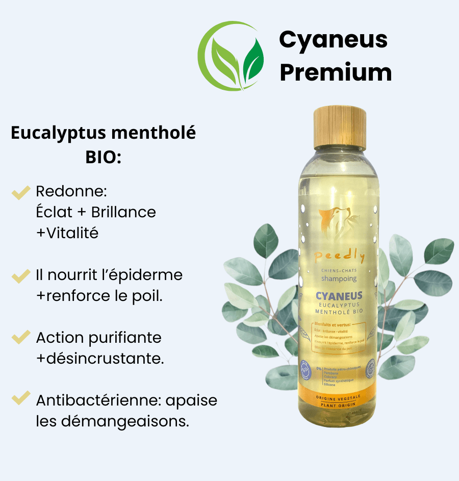 Box Bain Cyaneus - Purifiant / Vitalité