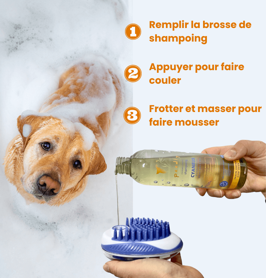 Box Bain Cyaneus - Purifiant / Vitalité