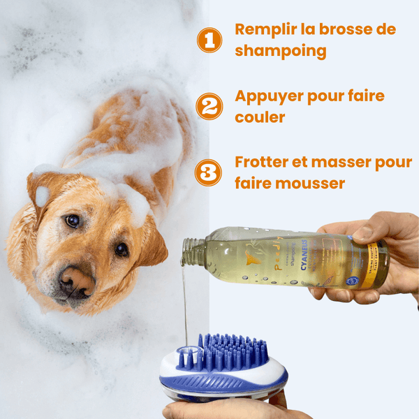 Box Bain Cyaneus - Purifiant / Vitalité