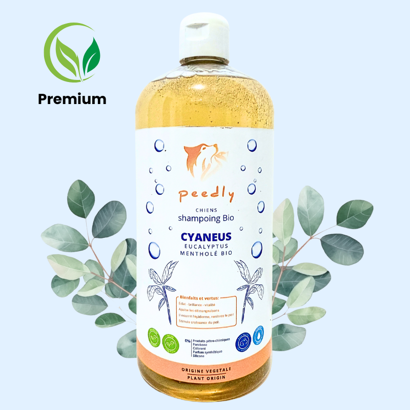 Shampoing Cyaneus 1L Purifiant