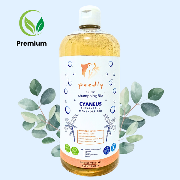 Shampoing Cyaneus 1L Purifiant