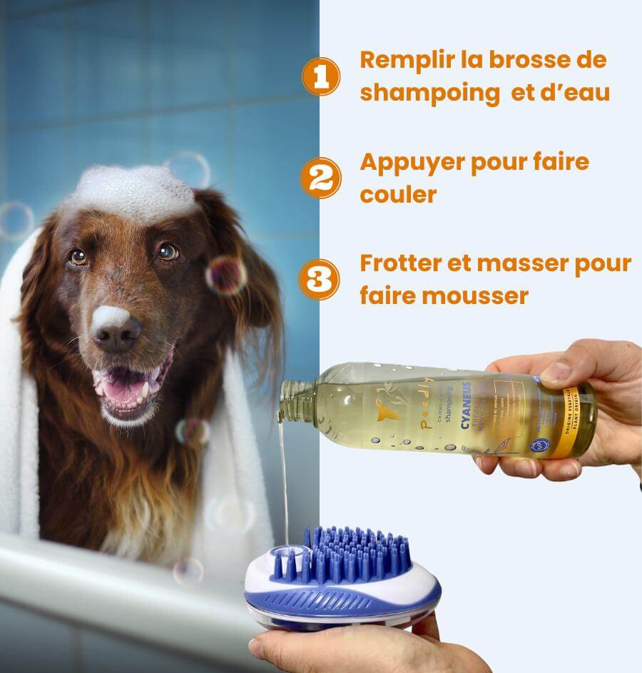 Shampoing Mel-Aureus + Brosse de bain