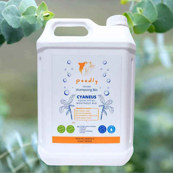 Shampoing Cyaneus 5L Purifiant