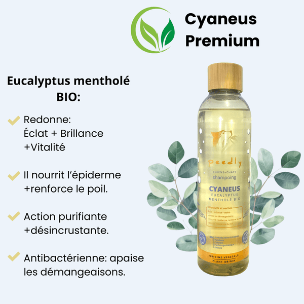 Box Bain Cyaneus - Purifiant / Vitalité