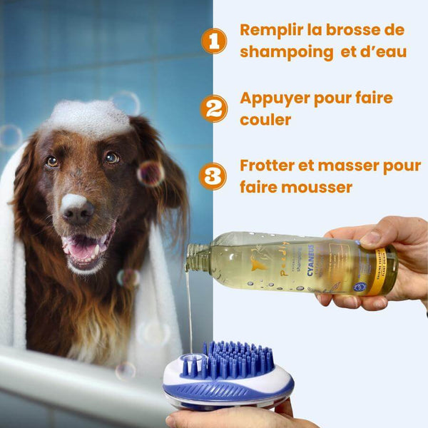 Shampoing Mel-Aureus + Brosse de bain